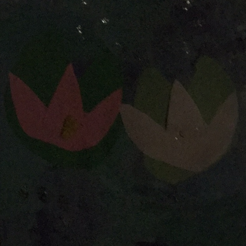 Meet your Posher, Adlyn